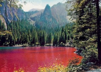 il-mistero-del-lago-rosso-in-trentino,-uno-spettacolo-magico-straordinario