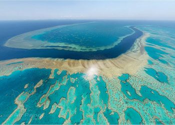 grande-barriera-corallina-australiana-a-rischio-morte,-sbiancamento-super