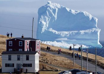 enorme-iceberg-spunta-in-canada.-villaggio-sperduto-viene-preso-d’assalto