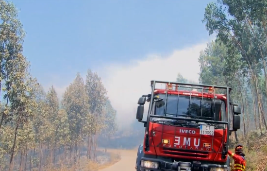 portogallo,-il-fuoco-mortale-potrebbe-essere-stato-causato-da-una-mano-criminale