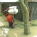india-del-nord-devastata-dal-monsone:-molte-le-vittime
