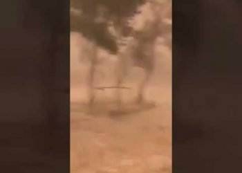 tempeste-di-grandine-e-sabbia-nel-deserto:-video-dall’arabia