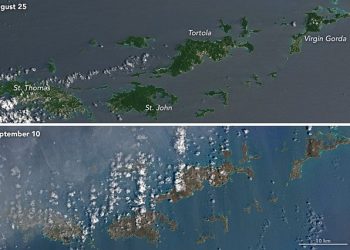 isole-caraibi-non-piu-verdissime-dopo-l’uragano-irma.-ecco-perche