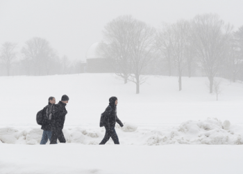 tempesta-di-neve-“niko”-sulla-east-coast:-20-cm-new-york,-oltre-30-boston