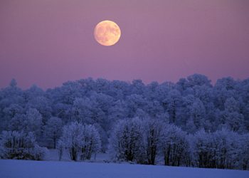eclissi-10-febbraio,-in-arrivo-la-snow-moon:-spettacolo-tutto-da-ammirare