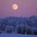 eclissi-10-febbraio,-in-arrivo-la-snow-moon:-spettacolo-tutto-da-ammirare