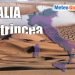 vita-in-trincea-per-il-troppo-caldo.-impreparati-per-evento-meteo-cosi-aggressivi