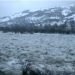 effetti-super-gelo-e-disgelo.-fiume-in-piena-con-enormi-blocchi-di-ghiaccio