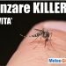 meteo-estremo-d’estate-2017.-malaria,-autoctona-in-italia,-primo-caso,-un-morto
