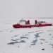 l’acidificazione-dell’artico-avra-ripercussioni-sulla-vita-marina-e-sull’industria-della-pesca