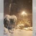 grandi-nevicate-sulla-francia-centrale-sorprendono-gli-automobilisti-impreparati