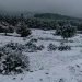 cronaca-meteo:-straordinaria-nevicata-sull’atlante-marocchino,-oltre-50-cm-di-neve-caduti