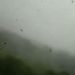 video-meteo-“uragano-o-tromba-d’aria”-in-corsica,-gravi-danni-a-porto-vecchio