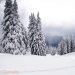 meteo-avverso-in-europa:-neve-a-basse-quote-in-austria-e-svizzera