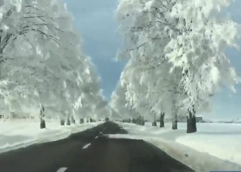 video-meteo-di-un-paesaggio-incantato-di-neve-e-gelo-in-romania