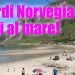 nei-fiordi-della-norvegia-si-fa-il-bagno:-e-meteo-estremo,-rischi-sul-turismo-mediterraneo