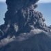 gigantesca-eruzione-sulle-galapagos,-a-rischio-la-biodiversita