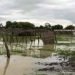 cronache-meteo:-gravi-inondazioni-in-sudan,-19-mila-case-distrutte-e-200-mila-persone-coinvolte