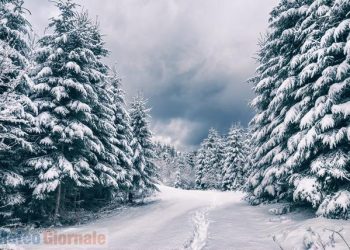 grande-neve-sulle-alpi,-pericolo-valanghe-in-aumento-per-i-grossi-accumuli