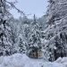 altre-nevicate-nel-weekend-in-montagna,-ma-quota-neve-in-progressivo-calo