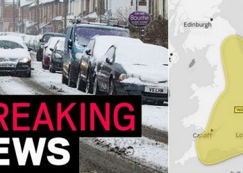 beast-from-the-east:-londra-in-allerta-neve