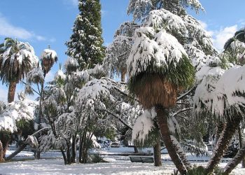 meteo-estremo-17-22-dicembre-2009-fra-super-gelo-e-nevicate-memorabili