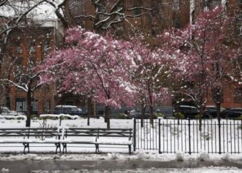 neve-storica-a-new-york-per-pasquetta,-la-“grande-mela”-sotto-oltre-10-cm