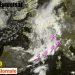meteo-turbolento:-burrasche-in-rotta-nord-italia.-in-francia-alluvioni