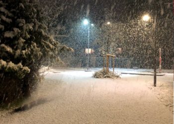 cronaca-meteo:-prima-nevicata-a-ginevra,-svizzera-imbiancata-fino-a-bassa-quota