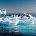 preoccupante-riduzione-del-ghiaccio-artico-negli-ultimi-decenni