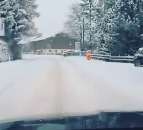 video-meteo-della-gelida-nevicata-nelle-alpi:-madonna-di-campiglio