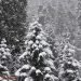 meteo-invernale:-neve-sugli-appennini-centrali,-aria-fredda-in-movimento-sull’italia
