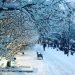 video-meteo-gran-nevicata-su-oslo,-in-norvegia