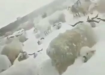 video-meteo:-terribili-nevicate-in-russia.-inverno-molto-duro