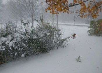 meteo-invernale:-prima-tormenta-di-neve-da-“lake-effect”-sugli-usa
