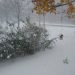 meteo-invernale:-prima-tormenta-di-neve-da-“lake-effect”-sugli-usa