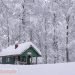 meteo-invernale-in-nord-america,-neve-record-in-colorado