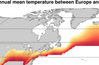 la-corrente-del-golfo-e-i-suoi-effetti-mitiganti-sul-clima-europeo