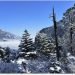 meteo-cina:-prima-neve-in-tibet-attira-folla-di-turisti