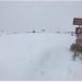 meteo-alaska,-stop-al-caldo,-e-arrivata-la-neve-precoce