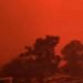 australia,-immagini-apocalittiche-degli-immani-incendi:-video