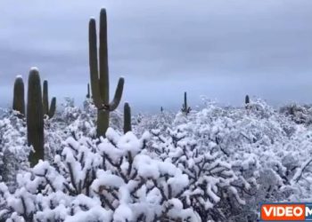 video-meteo-della-neve-nel-deserto-d’arizona