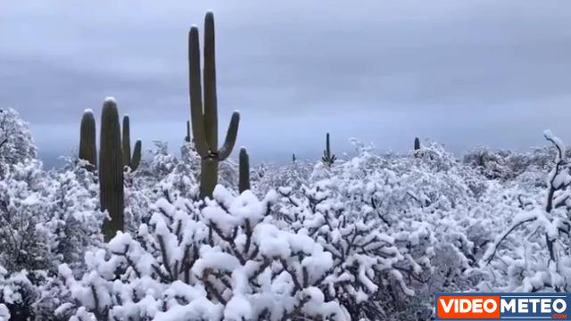 video-meteo-della-neve-nel-deserto-d’arizona