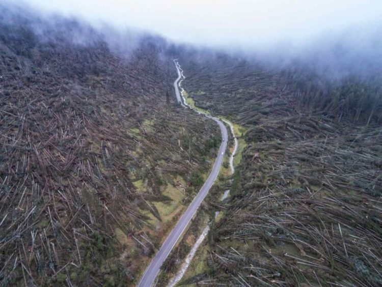 tempesta-vaia-un-anno-dopo:-strage-di-foreste-con-venti-ad-oltre-200-orari