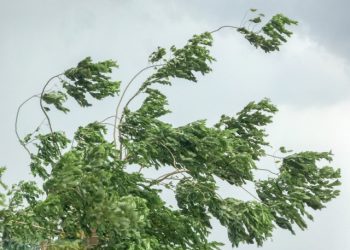 meteo-lombardia:-tempesta-di-vento,-ingenti-danni-e-feriti