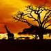 meteo-sudafrica:-record-storico-di-caldo-a-vioolsdrif