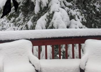meteo-canada:-abbondanti-nevicate-nella-british-columbia
