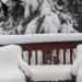 meteo-canada:-abbondanti-nevicate-nella-british-columbia