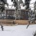 meteo-medio-oriente:-nevicate-fuori-stagione-in-siria-e-libano