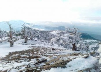 forti-nevicate-in-algeria,-foto-meteo